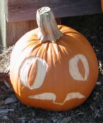 Single Tooth, Nipomo Pumpkin Patch, carving idea
